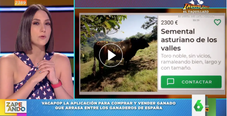 Vacapop en Zapeando