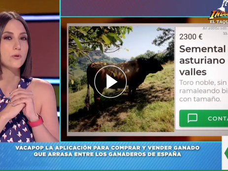 Vacapop en Zapeando