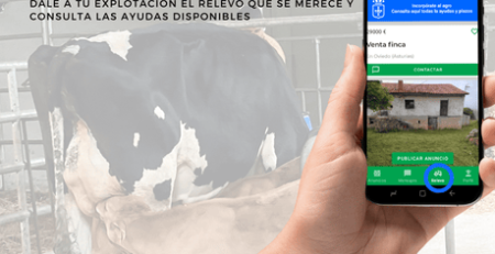 transferencia de ganaderias
